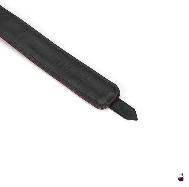 Нашийник Liebe Seele Wine Red Collar and Leash, винний SO9451 фото