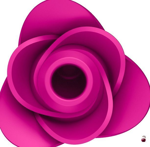 Вакуумний стимулятор клітора Satisfyer Pro 2 Modern Blossom SO8776 фото