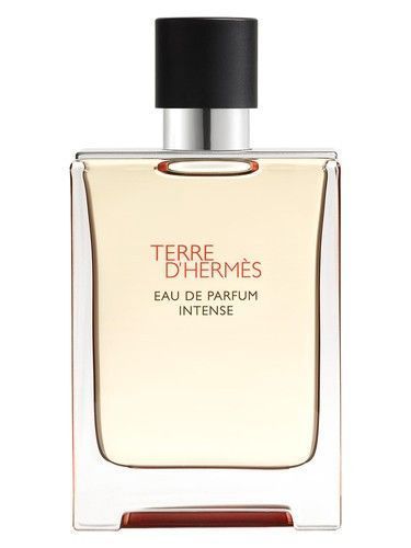 Hermes Terre d&rsquo; Intense 100 мл парфумована вода для чоловіків 30936 фото