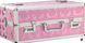 BMS Factory Large Lokable Vibrator Case Pink, кодовий замок SO8900 фото 2