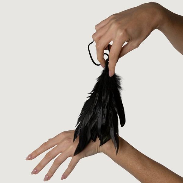 Пір'я для лоскотання Adrien Lastic Prestige AL33529 фото