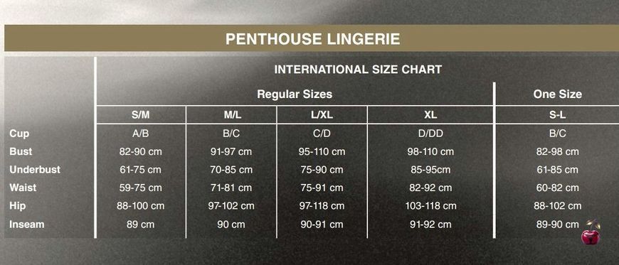 Penthouse First Lady Black XL, бодістокінг з високим коміром SO5259 фото