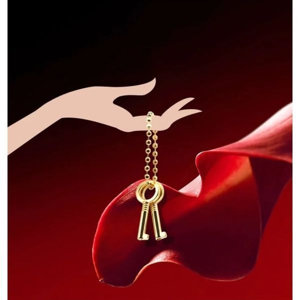 Пояс вірності Lockink Sevanda Beg & Ask Chastity Pants з повідцем та анальною пробкою, L 01215/SMD-072-L-ZH фото