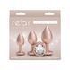 Анальні іграшки NS Novelties Набір Rear Assets Trainer Kit Iridescent Champagne Clear Gem SX4357 фото 6