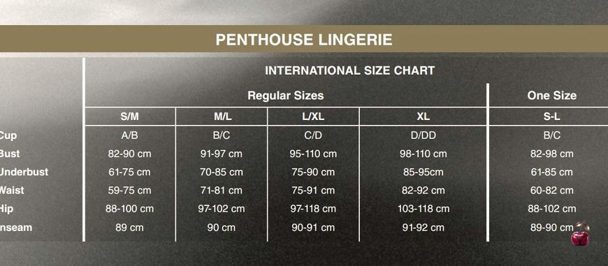 Пеньюар Penthouse Sweet Beast Black L/XL SO5295 фото