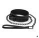 Нашийник Bedroom Fantasies Faux Leather Collar & Chain SO8806 фото 2