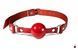 Кляп Feral Feelings Silicon Ball Gag, червоний ремінець SO8267 фото 1
