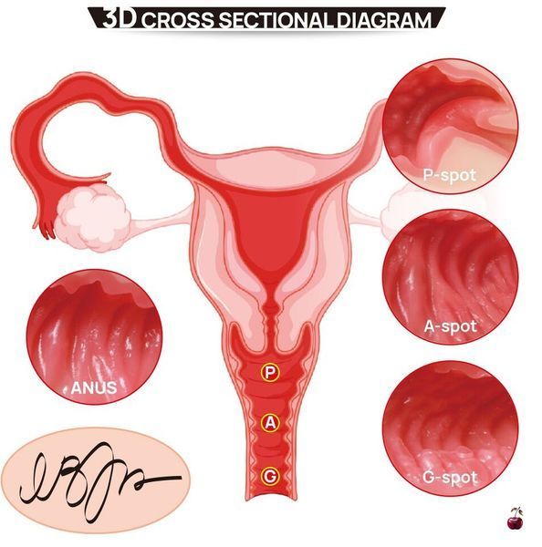 Мастурбатор Kokos Real Hips 2WayPlus з вібрацією SX3238 фото